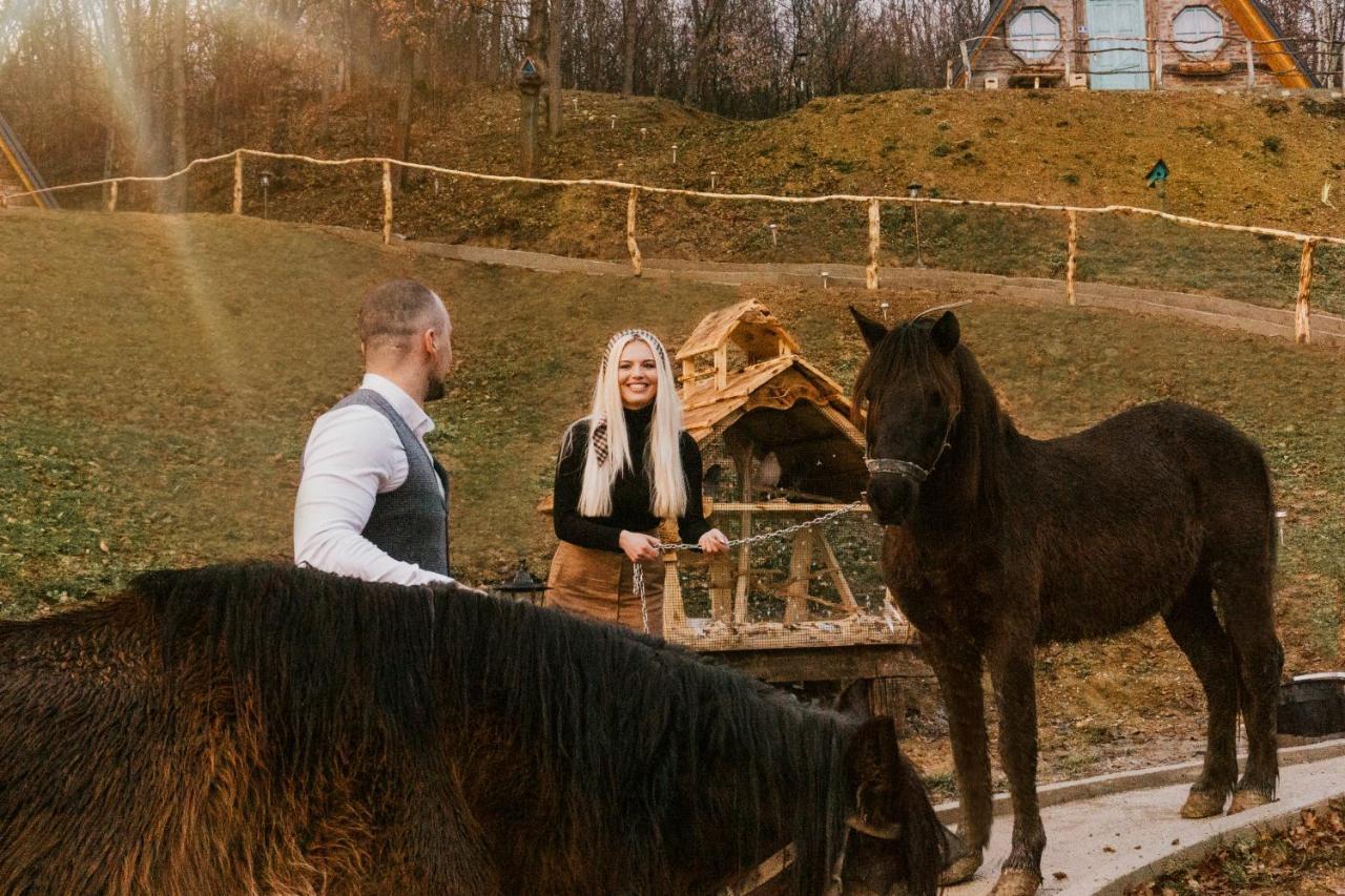 Etno Village Dolina Srece ヴィテズ エクステリア 写真